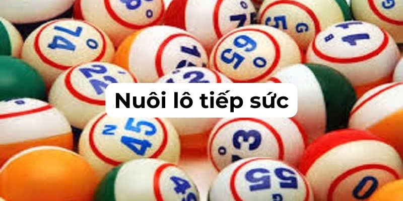 Nuôi Lô Tiếp Sức - Cách Để Lô Thủ Làm Giàu Nhanh Chóng