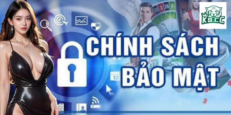 Chính sách bảo mật: Tìm hiểu thông tin sơ lược